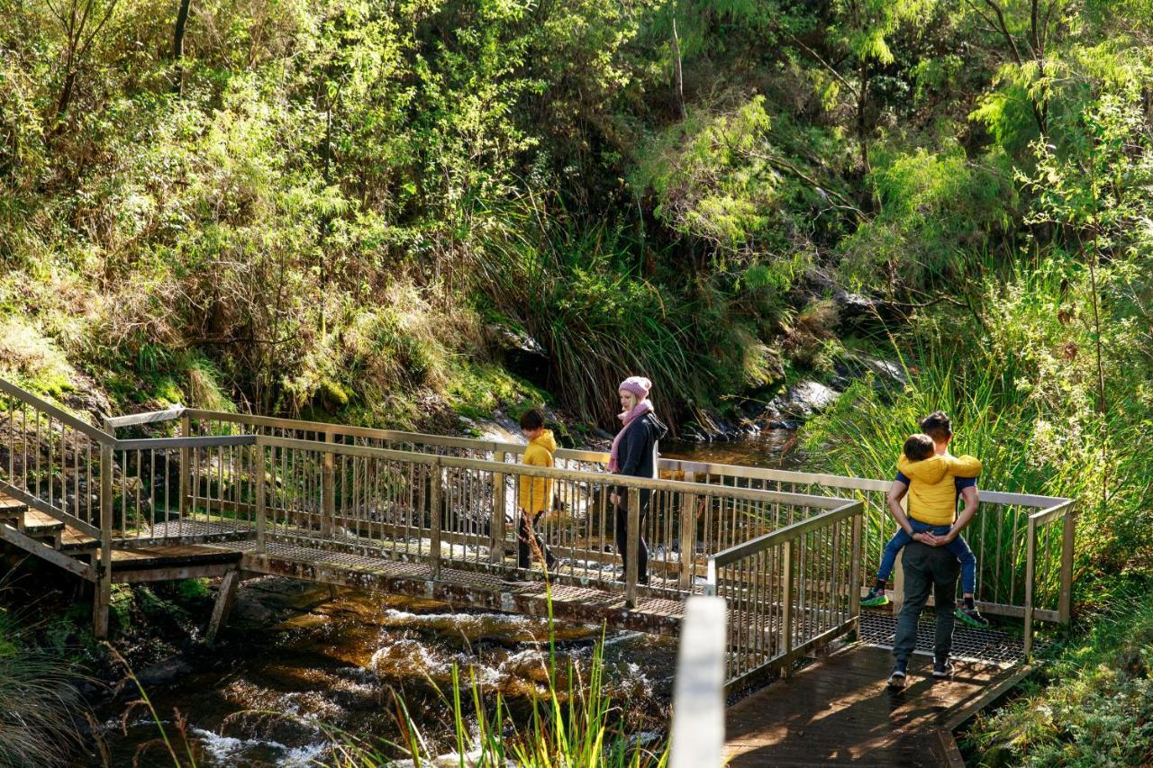 Rac Karri Valley Resort Pemberton Kültér fotó